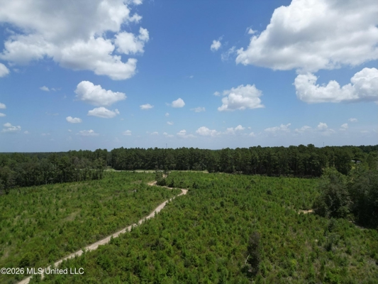 29± Acres with Fishing Pond in Jackson County, MS