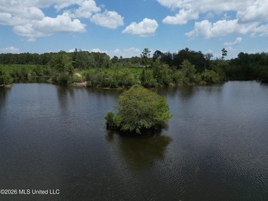 29± Acres with Fishing Pond in Jackson County, MS