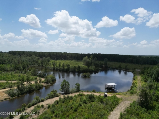 29± Acres with Fishing Pond in Jackson County, MS