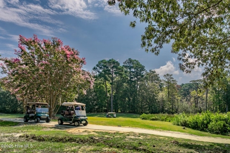 4 Bedroom Brick Home For Sale in Albemarle Plantation Community - image 5