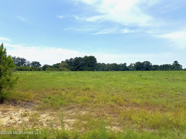 Listing 233