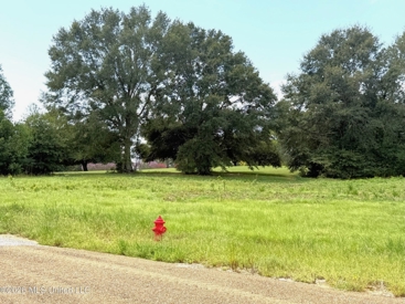 Listing 233