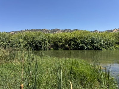 Cache Creek Frontage 70 Acre Farms or Ranches For Sale - image 3