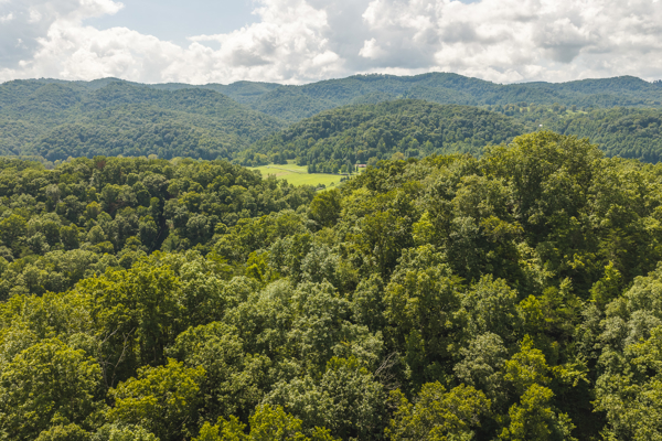 Private Retreat and Cabin for Sale in Scott Co