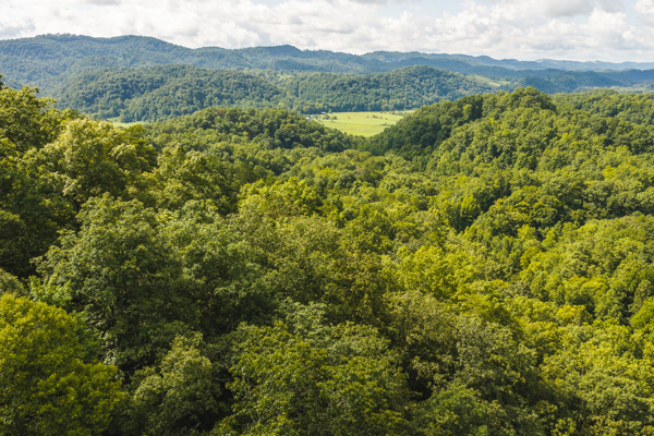Private Retreat and Cabin for Sale in Scott Co