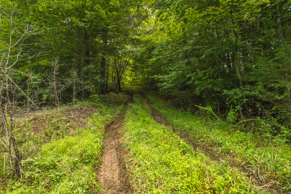 Private Retreat and Cabin for Sale in Scott Co