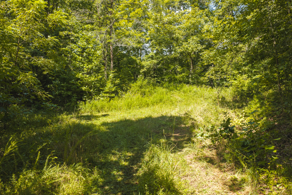Private Retreat and Cabin for Sale in Scott Co