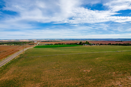 77.9 Acres Irrigated Land| Pleasant View, CO – $239,000 - image 20