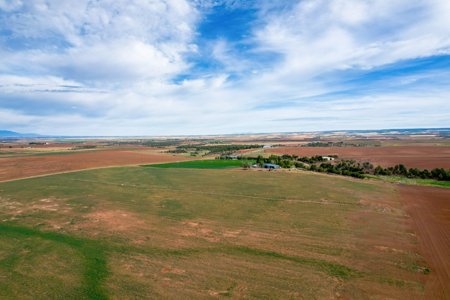 77.9 Acres Irrigated Land| Pleasant View, CO – $239,000 - image 25