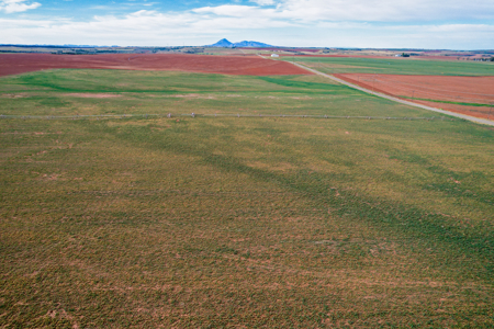 77.9 Acres Irrigated Land| Pleasant View, CO – $239,000 - image 9
