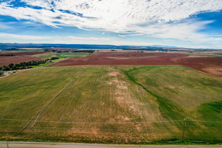 77.9 Acres Irrigated Land| Pleasant View, CO – $239,000 - image 19