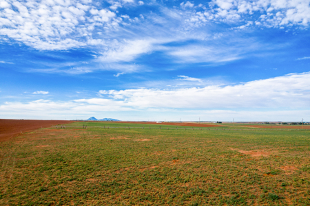 77.9 Acres Irrigated Land| Pleasant View, CO – $239,000 - image 5
