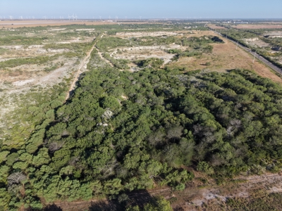 Beautiful 95-Acre South Texas Ranch Just Minutes from Mathis! - image 42