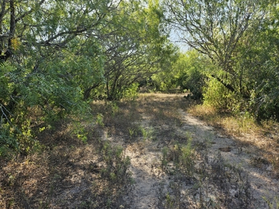 Beautiful 95-Acre South Texas Ranch Just Minutes from Mathis! - image 26