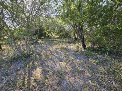 Beautiful 95-Acre South Texas Ranch Just Minutes from Mathis! - image 19