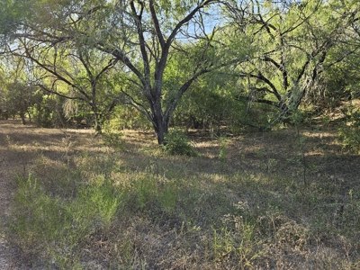 Beautiful 95-Acre South Texas Ranch Just Minutes from Mathis! - image 28
