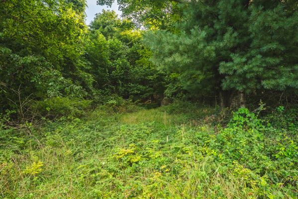 Land for sale in Floyd County VA