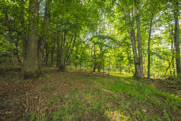 Land for sale in Floyd County VA