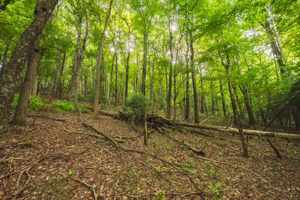 Land for sale in Floyd County VA