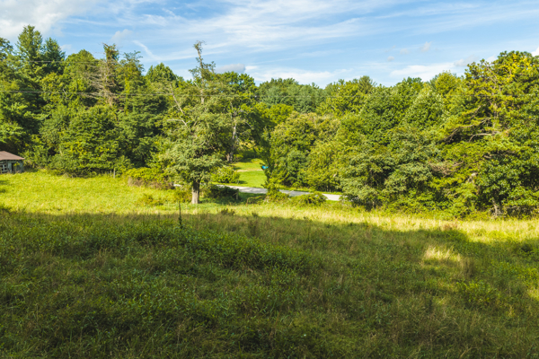 Land for sale in Floyd County VA
