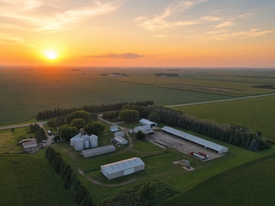 10.74 Ac Hayfield, MN 4 Bed 1.5 bath buildings & grain storage - image 2