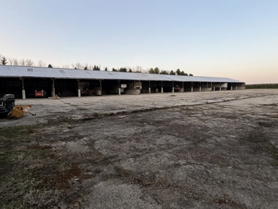 10.74 Ac Hayfield, MN 4 Bed 1.5 bath buildings & grain storage - image 23