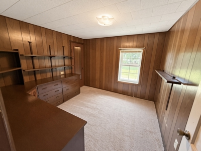 10.74 Ac Hayfield, MN 4 Bed 1.5 bath buildings & grain storage - image 46
