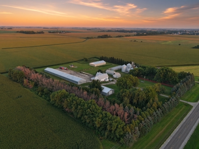 10.74 Ac Hayfield, MN 4 Bed 1.5 bath buildings & grain storage - image 1