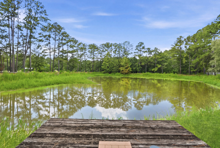Statesboro Home for Sale with Pond - image 38