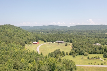 All brick home on 14.2 acres of beautiful rural land - image 3