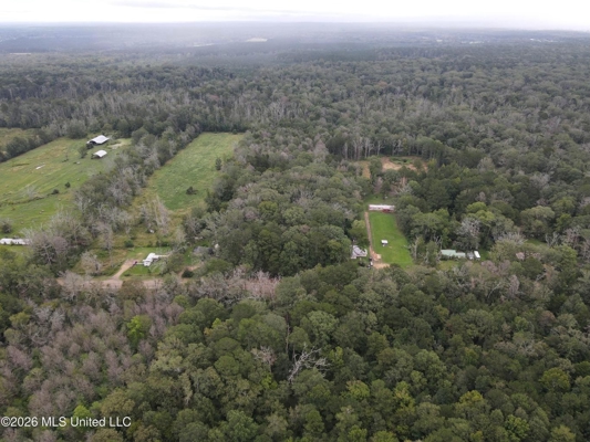 Highway 35 Land for Sale, Forest, Scott County MS