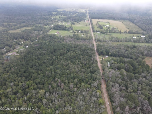 Highway 35 Land for Sale, Forest, Scott County MS