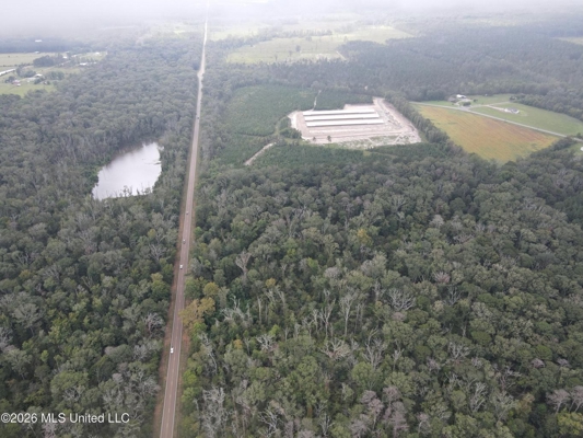 Highway 35 Land for Sale, Forest, Scott County MS