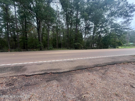 Highway 35 Land for Sale, Forest, Scott County MS