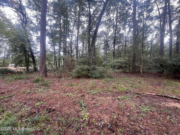Listing 210