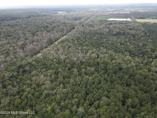 Highway 35 Land for Sale, Forest, Scott County MS