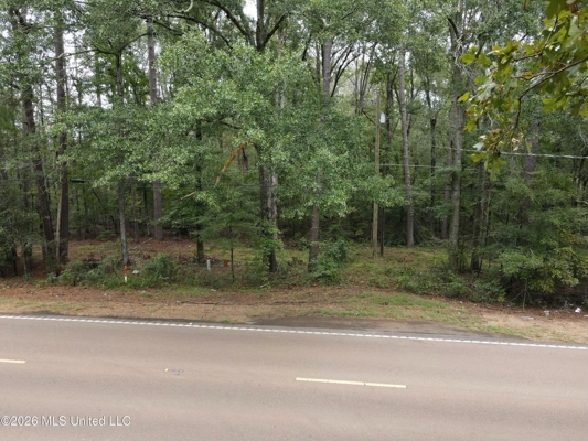 Highway 35 Land for Sale, Forest, Scott County MS