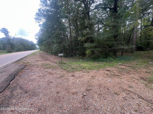 Highway 35 Land for Sale, Forest, Scott County MS