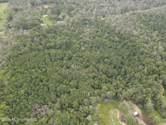 Highway 35 Land for Sale, Forest, Scott County MS
