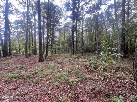 Highway 35 Land for Sale, Forest, Scott County MS