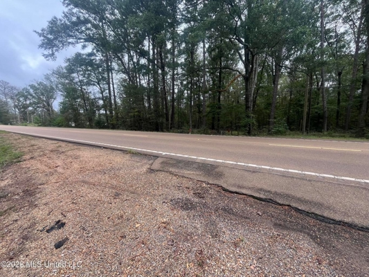 Highway 35 Land for Sale, Forest, Scott County MS