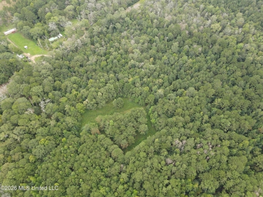 Highway 35 Land for Sale, Forest, Scott County MS