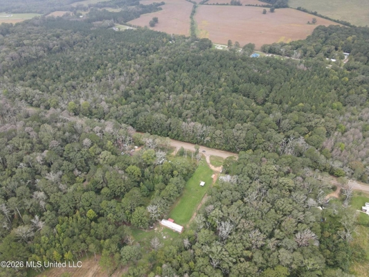 Highway 35 Land for Sale, Forest, Scott County MS