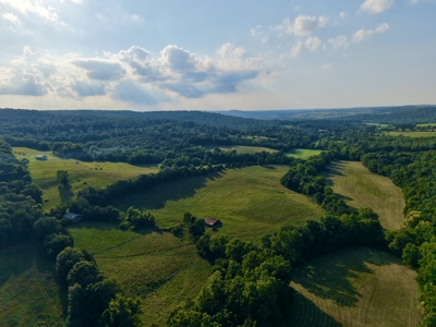 267-Acre Ozark Retreat with Country Home in Huntsville, Arkansas - image 45