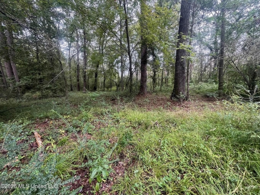 17 Acres for Sale in Forest, Scott County, MS