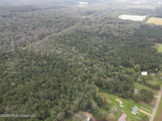 17 Acres for Sale in Forest, Scott County, MS