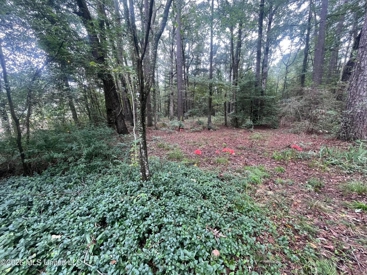 Listing 205