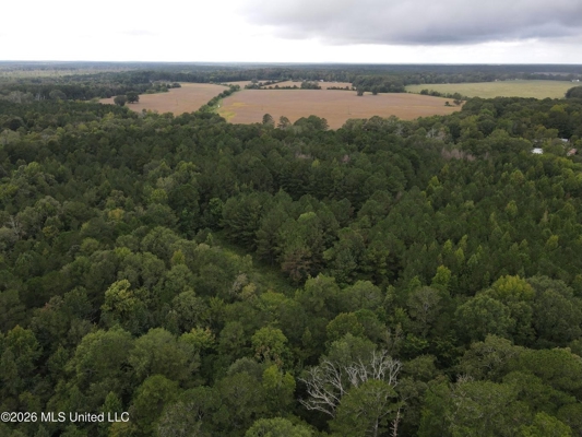17 Acres for Sale in Forest, Scott County, MS