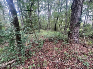 Listing 205