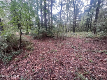 Listing 205